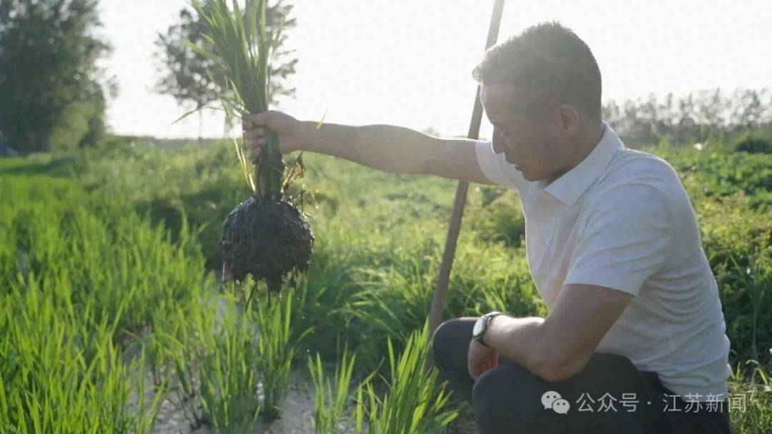 开云体育中国-“上场了，该拼了！”全网点赞的“苏超”村支书：左手秧苗，右脚足球