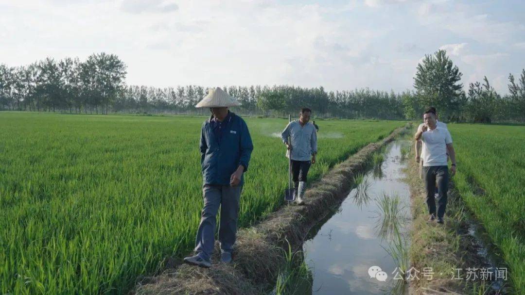 开云体育中国-“上场了，该拼了！”全网点赞的“苏超”村支书：左手秧苗，右脚足球
