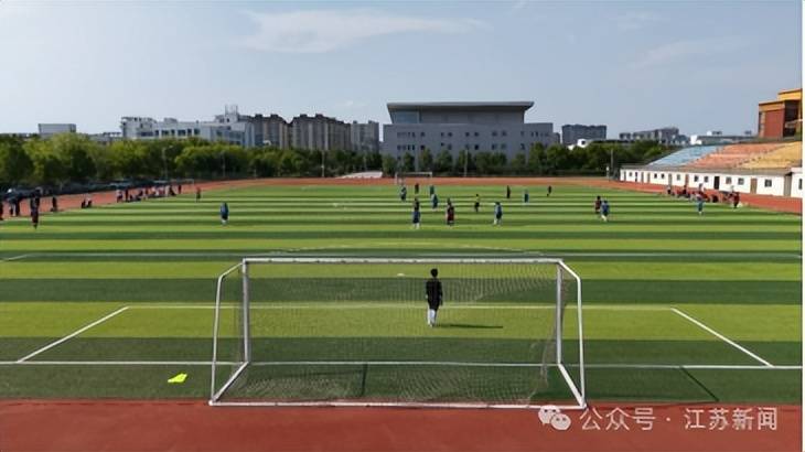 开云体育中国-“上场了，该拼了！”全网点赞的“苏超”村支书：左手秧苗，右脚足球