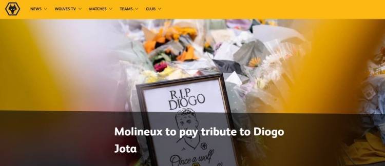 开云体育平台-狼队对塞尔塔、曼城赛前将纪念若塔及其兄弟，将展示横幅献花环等