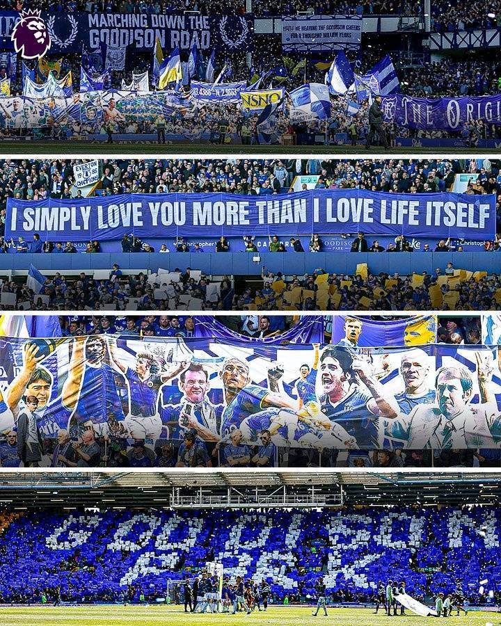 开云体育官网-原址不荒废埃弗顿官方：古迪逊公园将成为埃弗顿女足永久主场